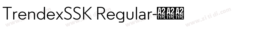 TrendexSSK Regular字体转换